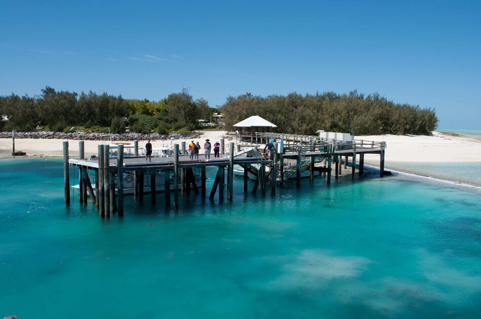 Heron Island Jetty at low tide