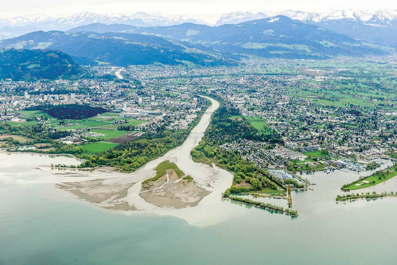 Mehrerauer Seeufer - Bregenzerachmündung - Naturvielfalt
