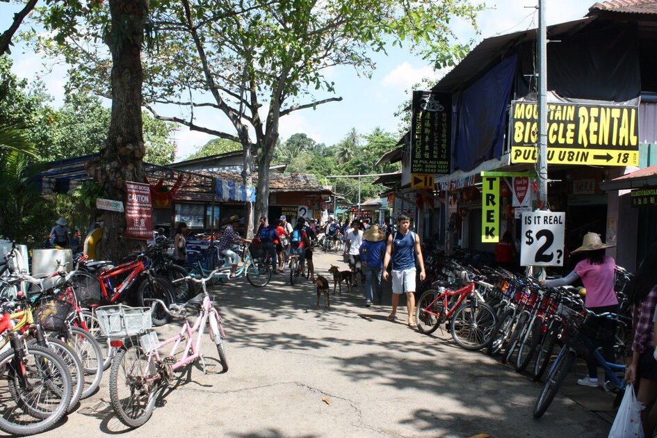 تأجير الدراجات الهوائية في جزيرة بولاو أوبين