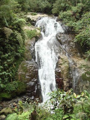 robinson waterfall