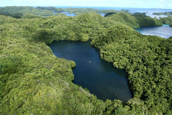 جزيرة سانجا لاكي