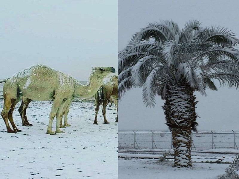 تساقط الثلوج في شمال السعودية