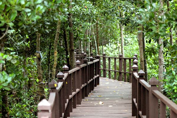حديقة تانجونج بياي الوطنية