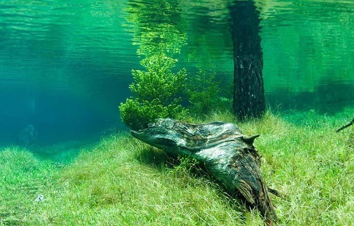 طبيعة البحيرة الخضراء