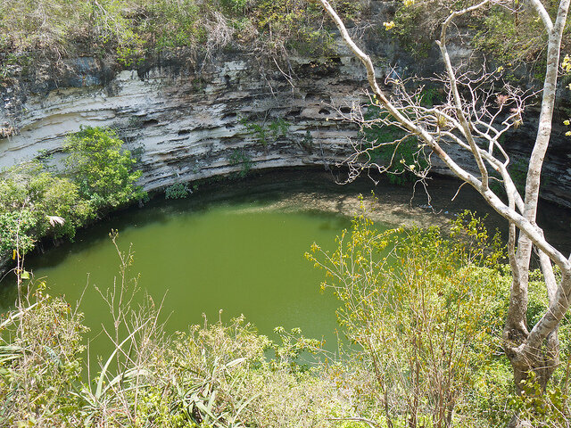 The Sacred Cenote