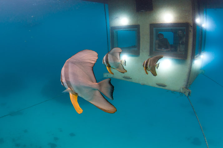 underwater room in Manta Resort Pemba Island, Tanzania