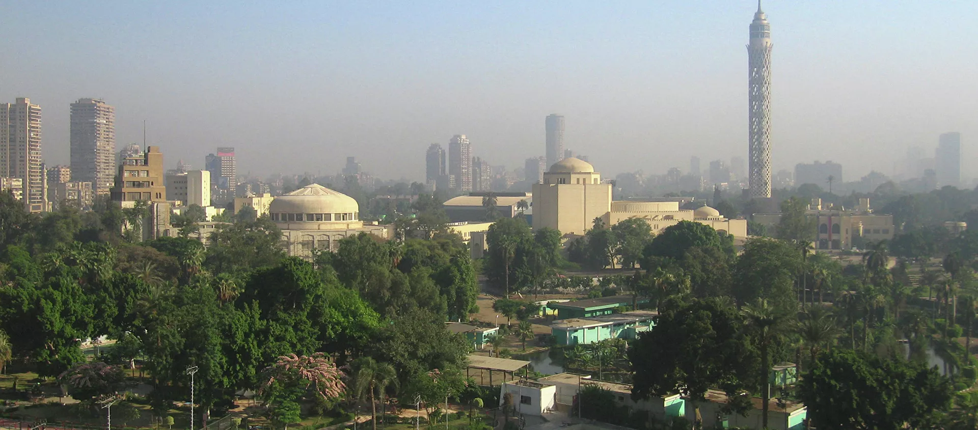 القاهرة - سبوتنيك عربي, 1920, 09.02.2015