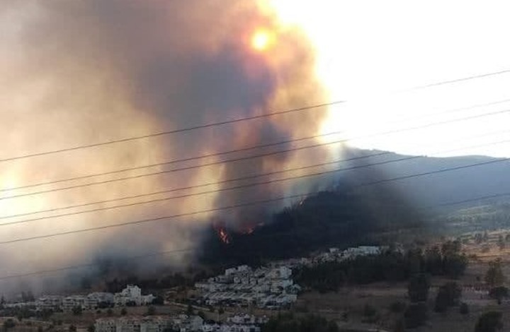 حريق كبير يندلع بـ"كريات شمونة" شمال فلسطين (فيديو)