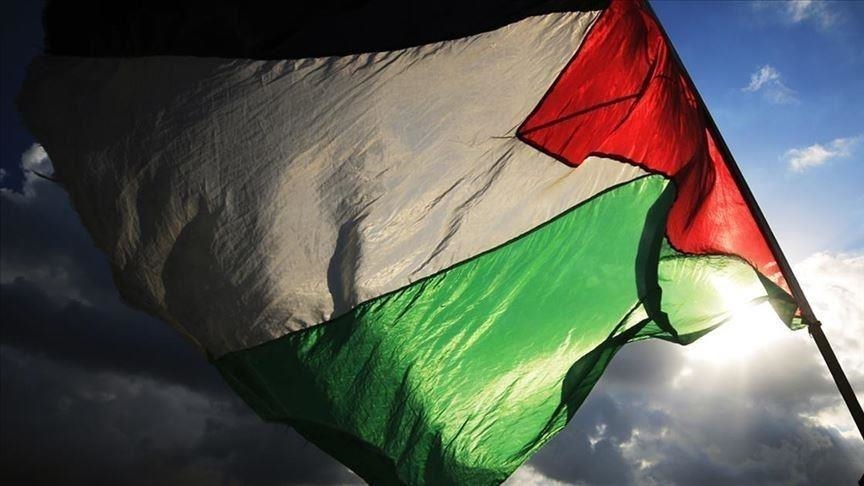 تعيين 3 أعضاء بلجنة تحقيق أممية في فلسطين المحتلة