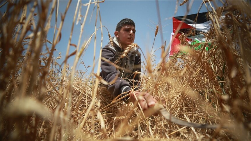 "الزراعة" تحذّر من "كارثة بيئية" شمالي قطاع غزة