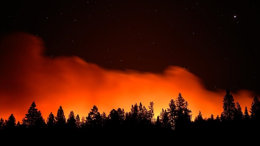 روسيا.. إخلاء قريتين في سيبيريا بسبب حرائق الغابات
