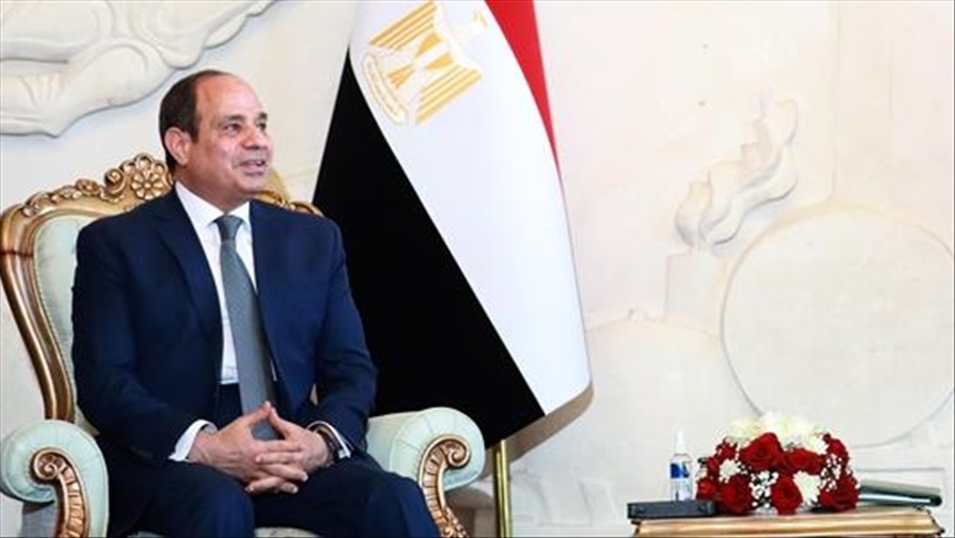 القاهرة: توافق مصري جزائري "نحو الدعم الكامل" للرئيس التونسي