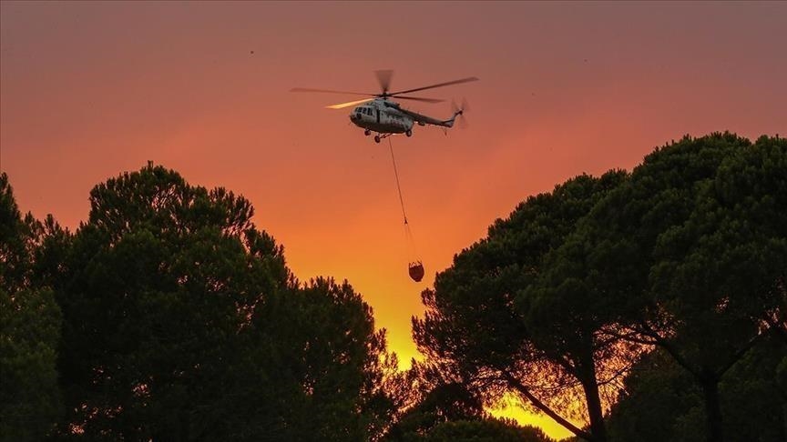 إيطاليا.. استمرار إطفاء حرائق الغابات في أجزاء مختلفة من البلاد