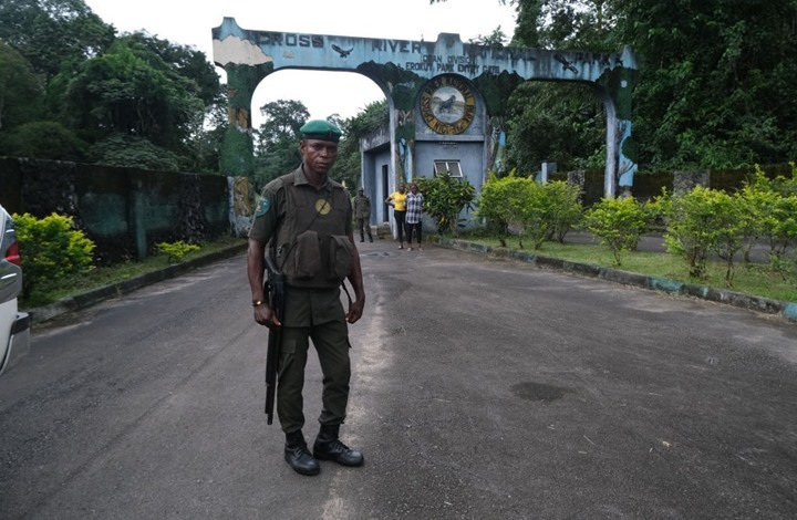 20 قتيلا بهجمات مسلحة استهدفت سوقا في نيجيريا