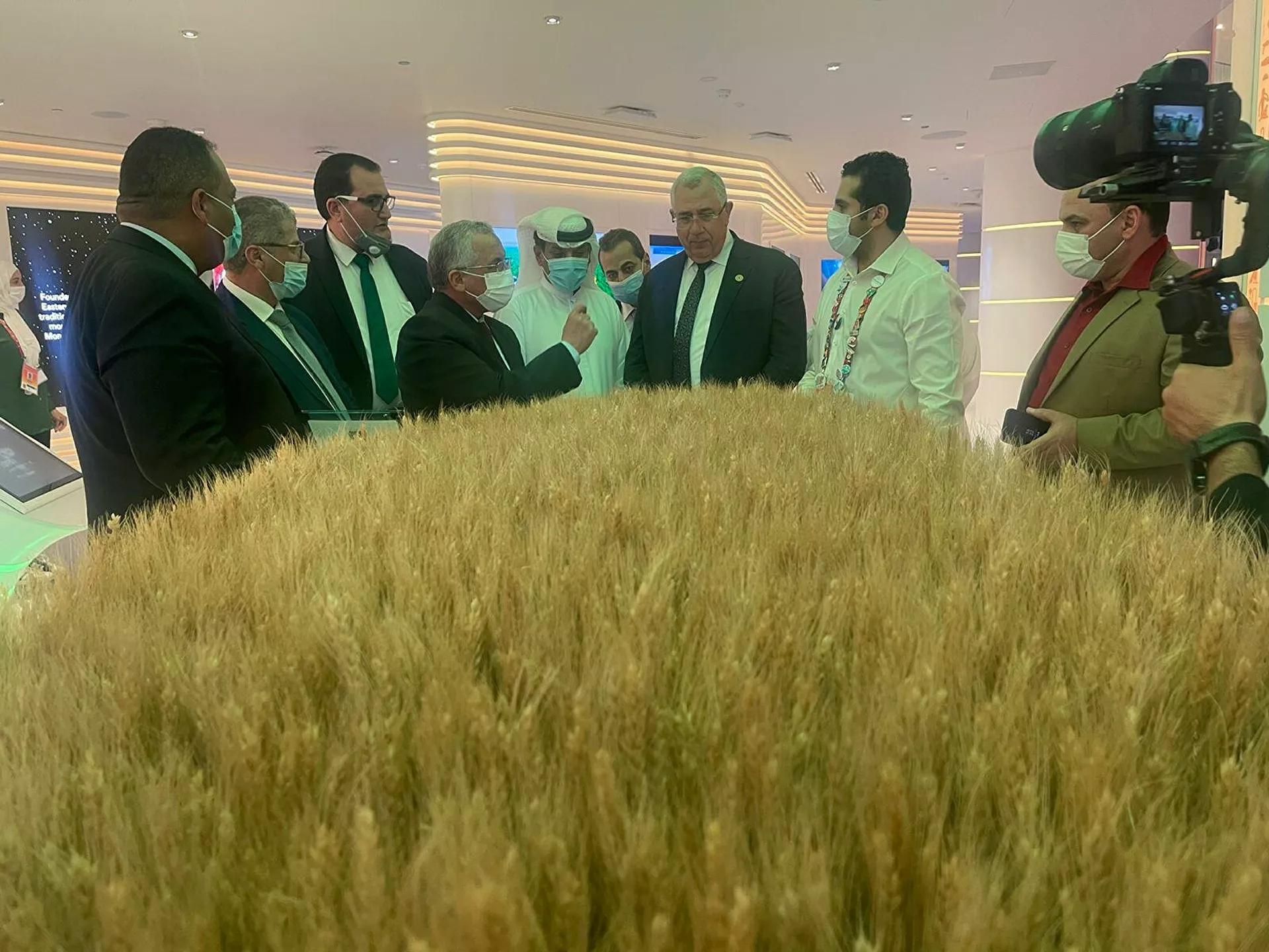 وزارة الزراعة المصرية تعرض فرص الاستثمار الزراعي في مصر أمام إكسبو 2020 دبي - سبوتنيك عربي, 1920, 21.02.2022