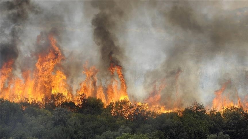 دعم فرنسي لمكافحة حرائق الغابات في الجزائر
