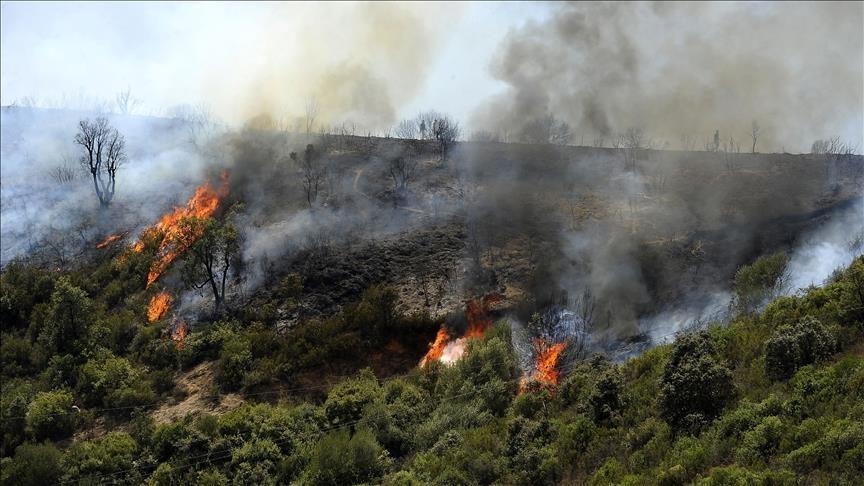مساعدات كويتية للجزائر لإطفاء حرائق الغابات