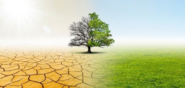 تأثير الاحتباس الحراري على الزراعة