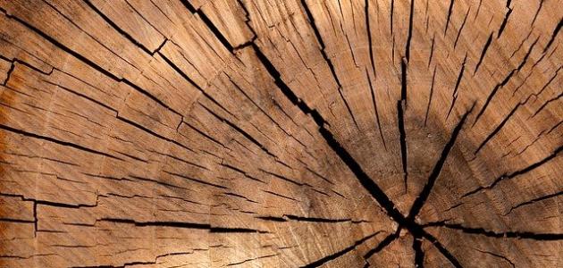 تفسير حلم الخشب في المنام