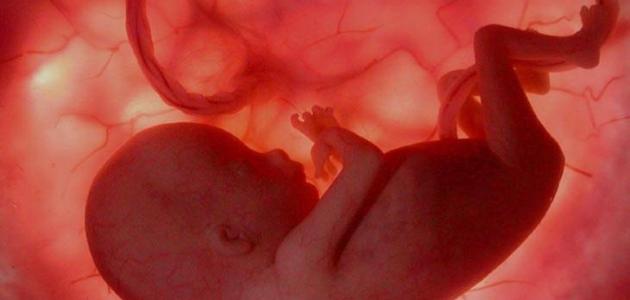 كيف يمكن معرفة ما إذا كان الجنين حي؟