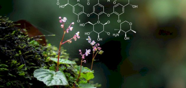 أهمية الكيمياء الحيوية في الزراعة