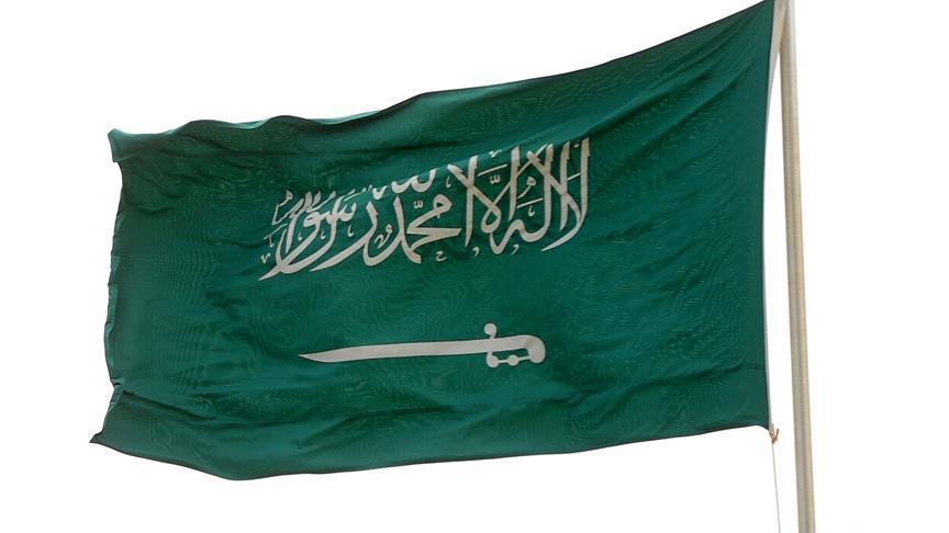 وزير سعودي يحذر من الثورات ومحاولة الاستيلاء على الحكم